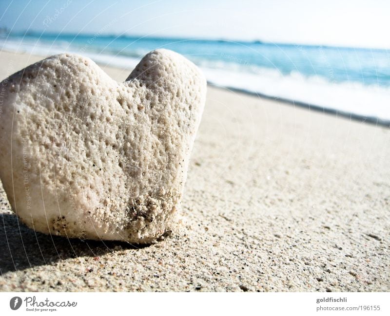 heartland Vacation & Travel Nature Stone Sand Moody Love Bali Colour photo Exterior shot Deserted Morning Day