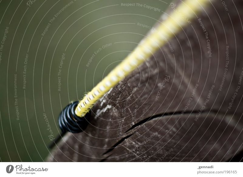 hang out Rope Elastic band Plastic Oil Brown Yellow Colour photo Deserted Shallow depth of field Day