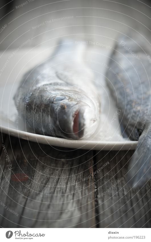 There's fish, baby! Food Fish Nutrition Lunch Dinner Animal Dead animal Animal face Scales 2 Cold Blue Trout Fisheye Fish dish Wood Plate Edge of a plate