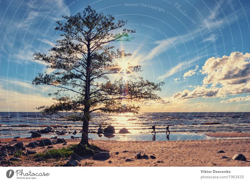 Tourists walk along the beach Lifestyle Happy Beautiful Vacation & Travel Tourism Summer Sun Beach Ocean Island Human being Man Adults Nature Landscape Sand Sky