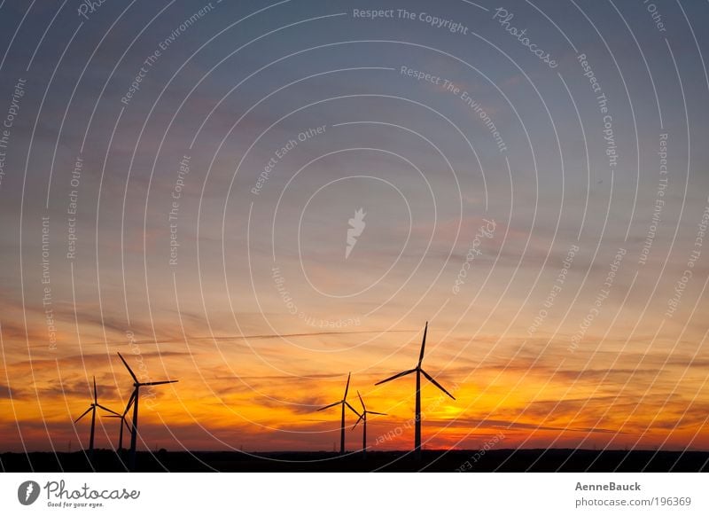 evening breeze Technology Advancement Future Energy industry Renewable energy Wind energy plant Environment Nature Landscape Air Sky Clouds Horizon Sunrise