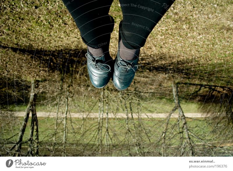 upside.down Feet Beautiful weather Tree Meadow Hang Crouch Lie Sit Happiness Contentment Colour photo Day