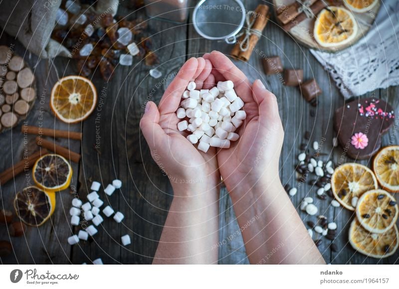 Two female hands holding a bunch of white marshmallow Food Candy Herbs and spices Eating Woman Adults Arm Hand Fingers 1 Human being 18 - 30 years