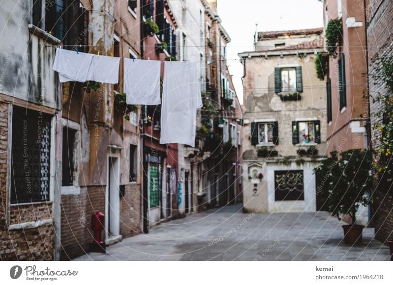 Wash day III - white Calm Vacation & Travel Tourism Sightseeing City trip Venice Italy Town Downtown Old town House (Residential Structure) Facade Window Door