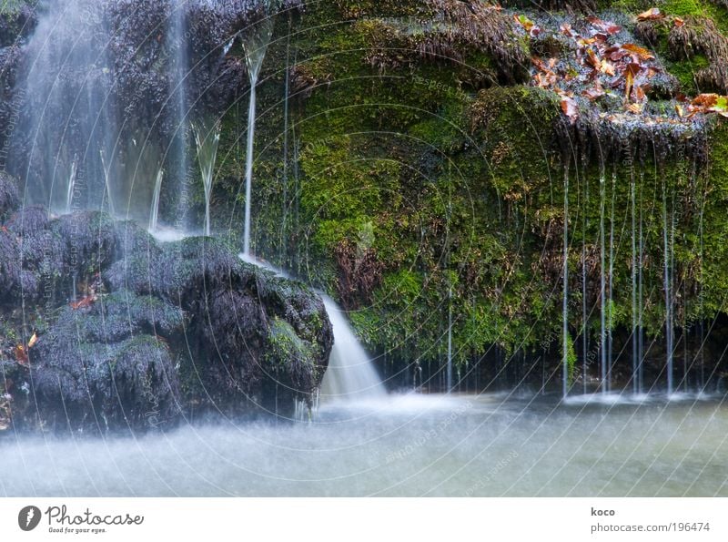 waterfall Nature Water Summer Autumn Moss Forest Virgin forest River bank Waterfall Wet Beautiful Brown Gray Green Colour photo Exterior shot Deserted Day