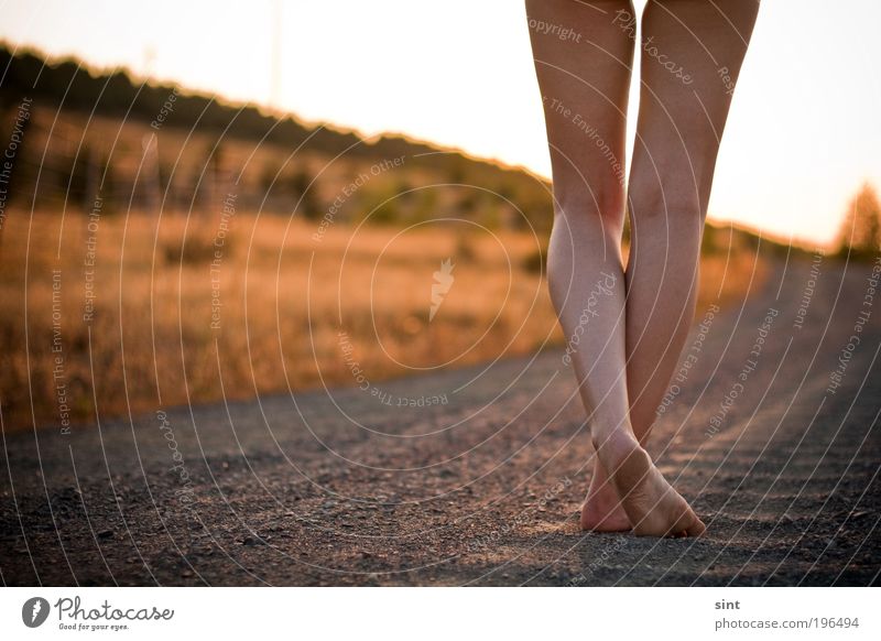 at the lake I Vacation & Travel Trip Summer Sun Feminine Young woman Youth (Young adults) Legs Sand Sunrise Sunset Sunlight Beautiful weather Relaxation Stand