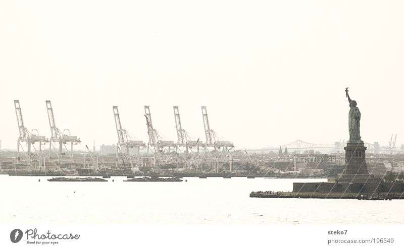 Statue of Liberty-Double-Competition Port City Tourist Attraction Landmark Harbour Exceptional Retro Gloomy New York City Crane Container terminal Synchronous