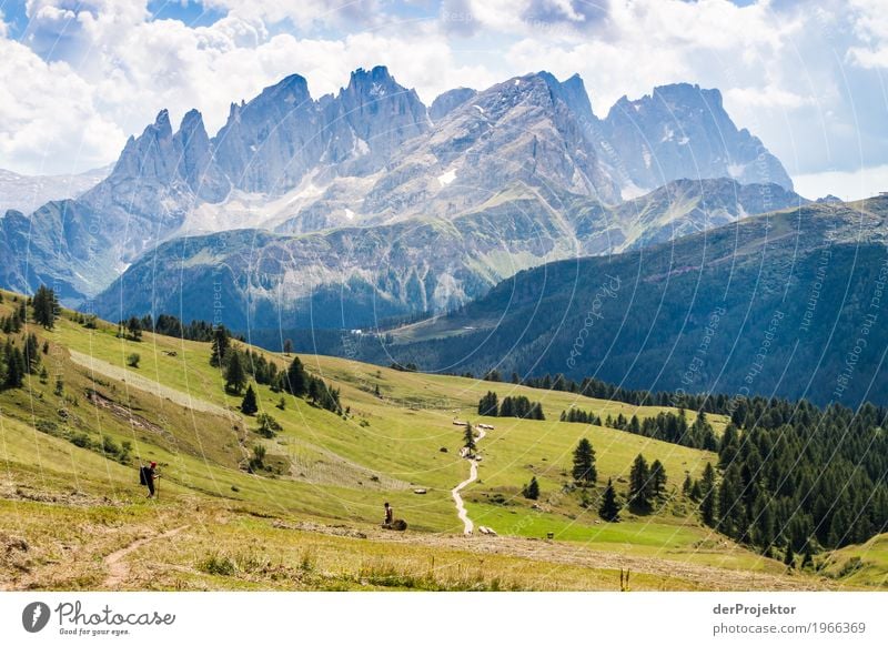 Hiking with panorama in the Dolomites Central perspective Deep depth of field Sunbeam Sunlight Light (Natural Phenomenon) Silhouette Contrast Shadow Day