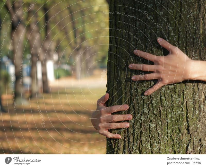 love of nature Life Hand Fingers 18 - 30 years Youth (Young adults) Adults Nature Beautiful weather Tree Park Touch To enjoy Dream Firm Together Near Natural