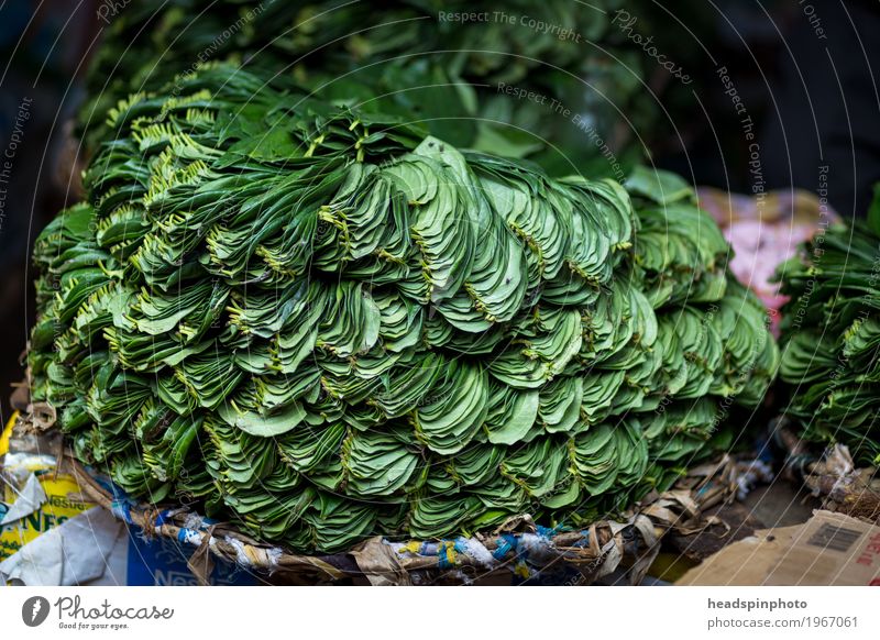 Betel leaves on a market in Sri Lanka Kandy Asia Shopping Sell Green Betel leaf betel Market stall Leaf India Agriculture Stack Chew Colour photo Deserted