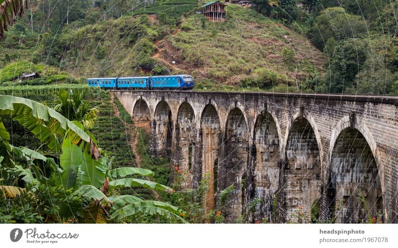 Demodara Nine-Arches-Bridge near Ella, Sri Lanka ella Manmade structures Tourist Attraction Landmark Monument Traffic infrastructure Public transit Logistics