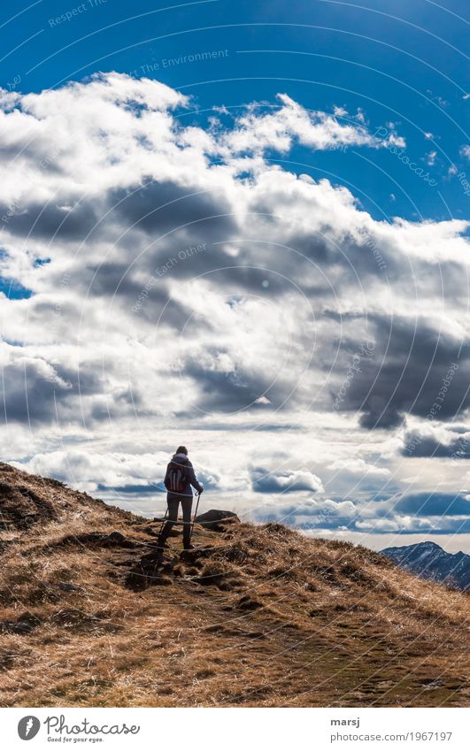 The murder mystery is already over. Nature Beautiful weather Alps Hiking Effort Clouds Clouds in the sky Going Movement Healthy Colour photo Exterior shot