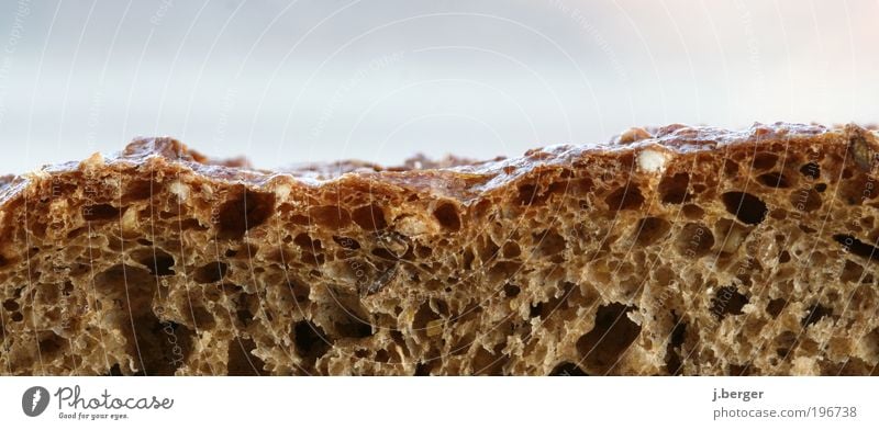 Bread Valley Food Nutrition Exceptional Simple Healthy Delicious Brown Gold To enjoy Crisp Hearty Crusted bread Beige Slice of bread Christmas gift Colour photo