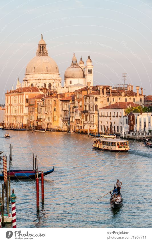 Sunrise on the Grand Canal in Venice II Looking Central perspective Deep depth of field Dawn Morning Light Shadow Contrast Copy Space middle Copy Space bottom