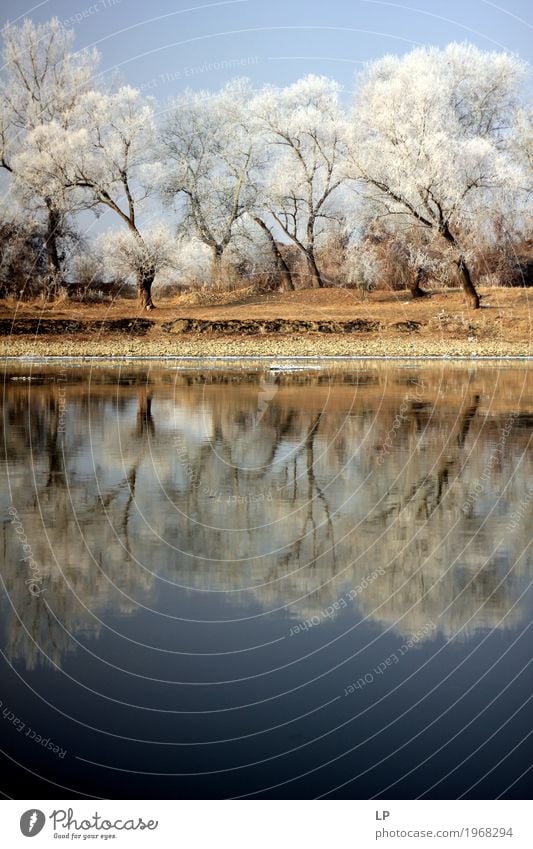 winter landscape on Mures river Environment Nature Landscape Elements Winter Beautiful weather Tree Mures  River Emotions Adventure Contact Winter vacation