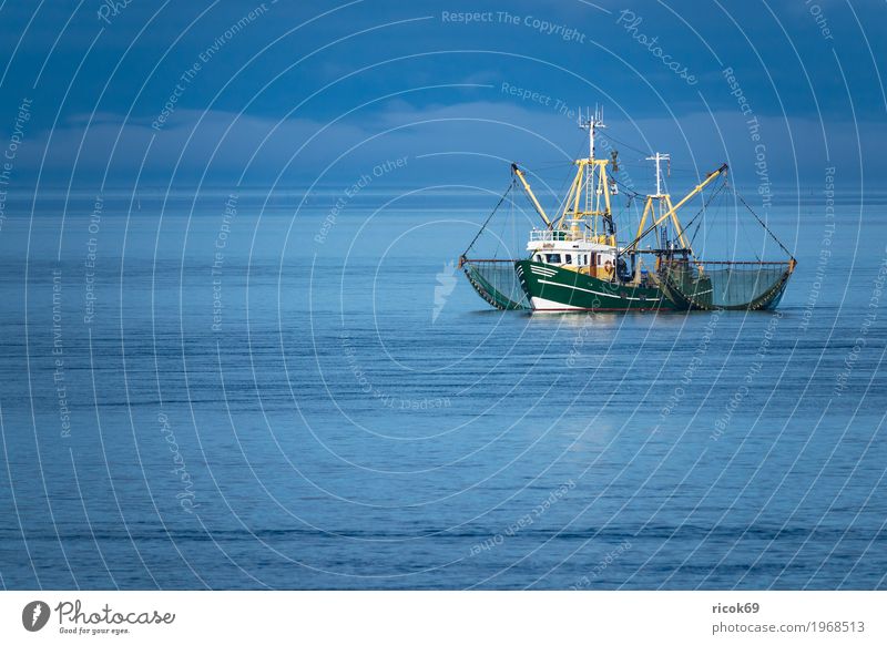 Crab cutter on the North Sea off the island of Föhr Relaxation Vacation & Travel Tourism Island Water Clouds Coast Fishing boat Watercraft Net Nature Fohr