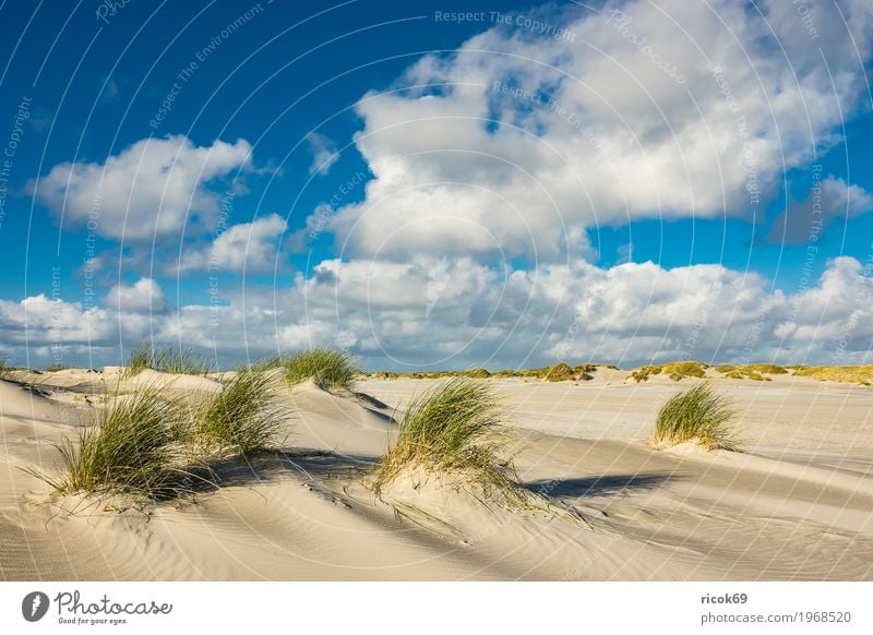 Landscape with dunes on the island of Amrum Relaxation Vacation & Travel Tourism Beach Ocean Island Nature Sand Clouds Autumn Coast North Sea Blue Yellow Dune