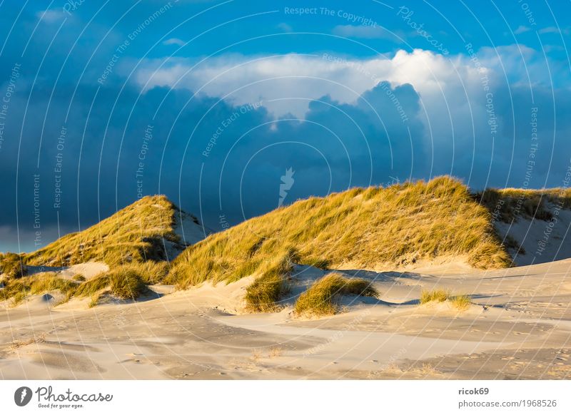 Landscape with dunes on the island of Amrum Relaxation Vacation & Travel Tourism Beach Ocean Island Nature Sand Clouds Autumn Coast North Sea Blue Yellow Dune