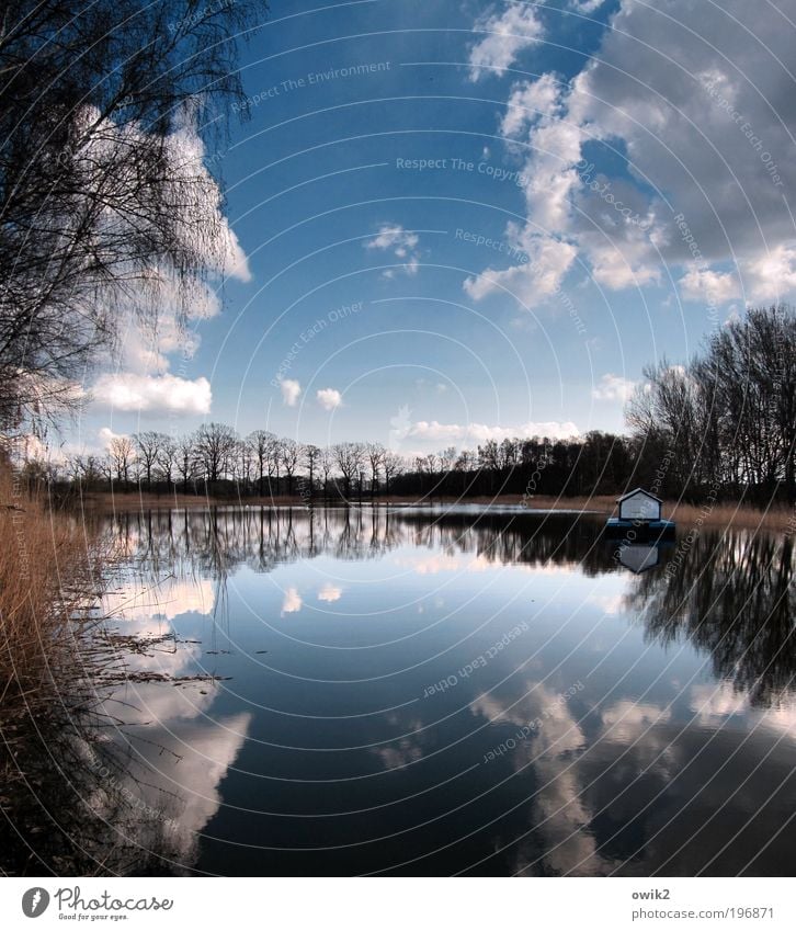 houseboat Environment Nature Landscape Plant Elements Water Sky Clouds Horizon Climate Beautiful weather Bushes Tree Edge of the forest Coast Lakeside Pond