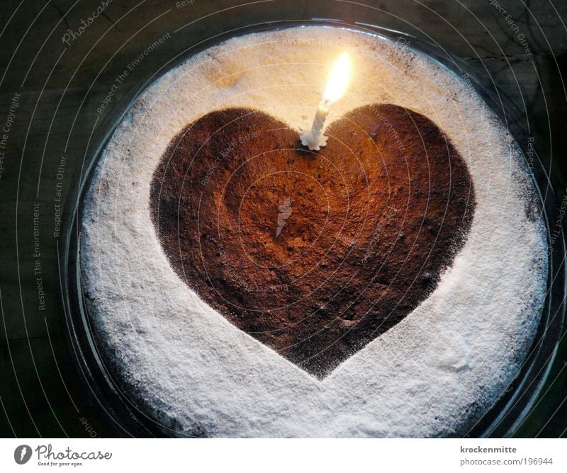 Congratulations to you. Food Cake Dessert Chocolate Nutrition Birthday cake Candle Heart Agreed Warm-heartedness Infatuation Romance Birthday wish Blow