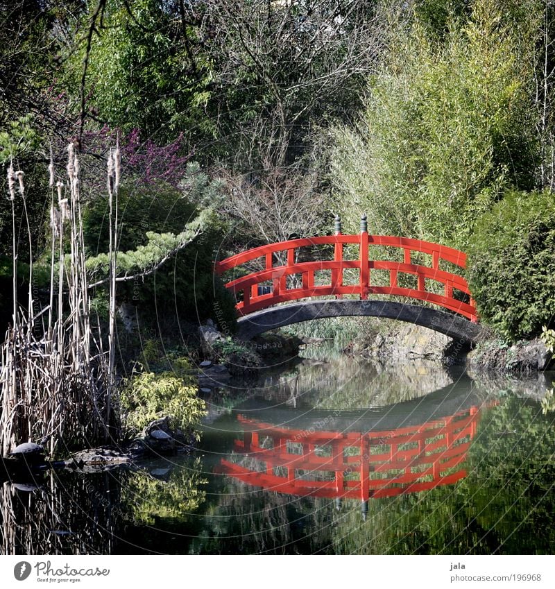 little bridge Nature Water Beautiful weather Plant Tree Bushes Garden Park Pond Lake Bridge Esthetic Red China Asia Colour photo Exterior shot Deserted Day