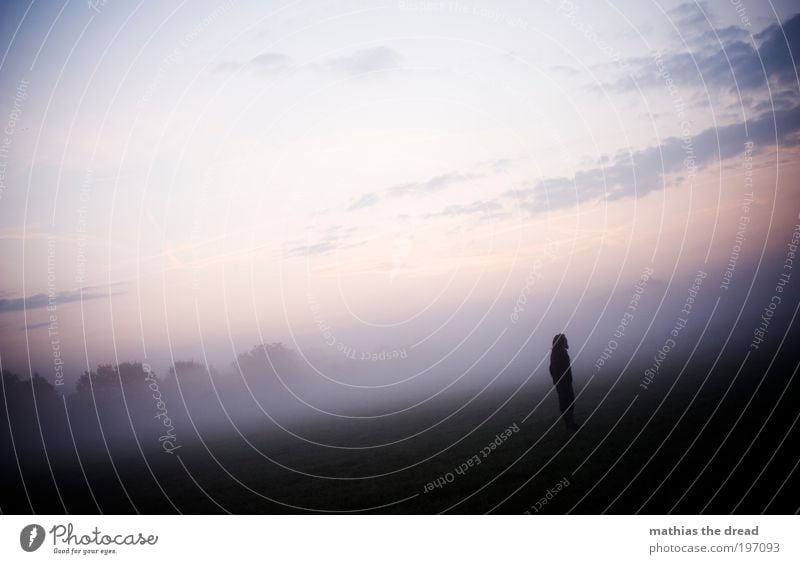 THE HORIZON IS OBLIQUE! Human being Masculine Environment Nature Landscape Plant Sky Clouds Horizon Summer Autumn Climate Weather Beautiful weather Fog Meadow