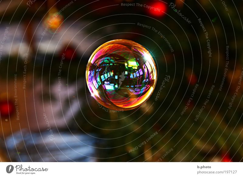 soap bubble Soap bubble Sphere Esthetic Authentic Exceptional Cool (slang) Exotic Fantastic Fluid Glittering Kitsch Wet Gold Red Movement Uniqueness Elegant