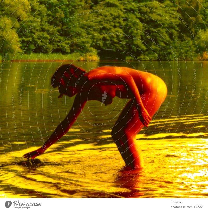 fish Woman Sunlight Fishing (Angle) Nude photography Warmth Female nude