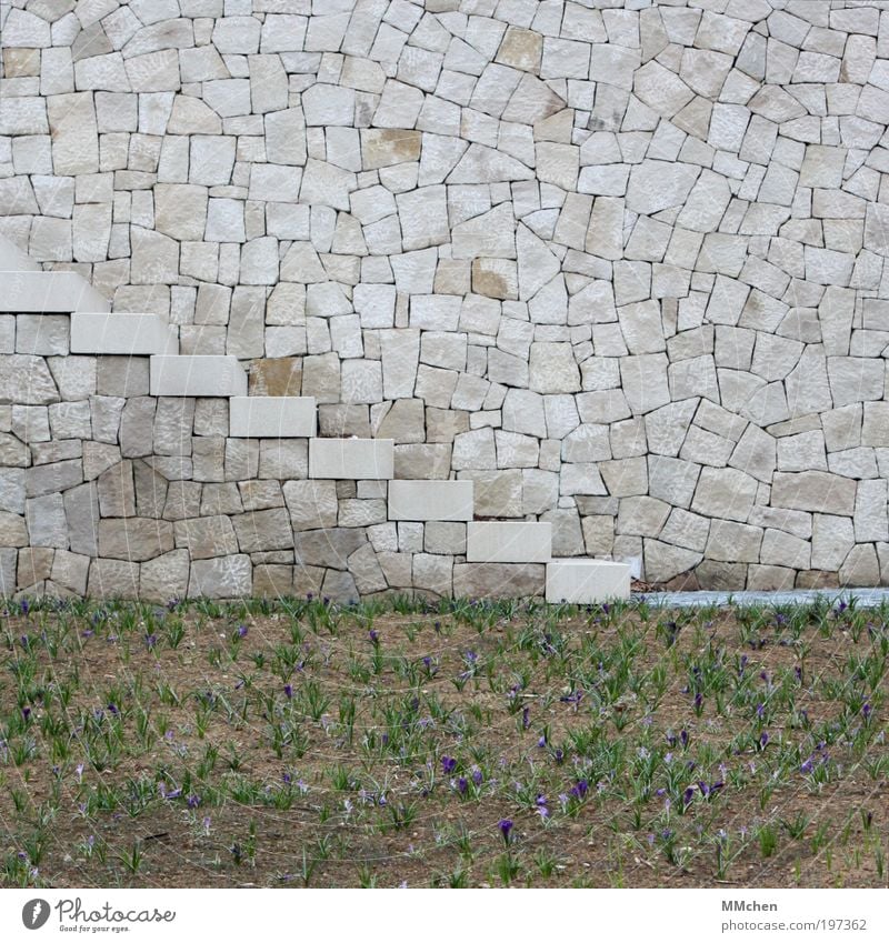 jigsaw Park Wall (barrier) Wall (building) Stairs Pedestrian Lanes & trails Stone Going Gray plant up Downward Crocus Access Stony cyclopean masonry