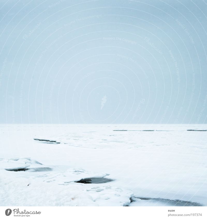 sheet of ice Environment Nature Landscape Sky Cloudless sky Horizon Winter Climate Ice Frost Snow Coast Baltic Sea Exceptional Sharp-edged Simple Fantastic Cold