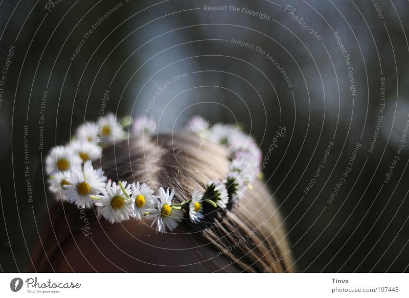 flower child Feminine Head Hair and hairstyles Plant Spring Summer Beautiful weather Blossom Happiness Fresh Cute Positive Joy Happy Joie de vivre (Vitality)