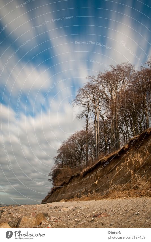 On the move Relaxation Trip Beach Ocean Environment Nature Landscape Earth Sand Sky Sunrise Sunset Climate Weather Beautiful weather Wind Coast Baltic Sea Blue