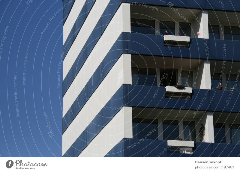 Quadrature Habitat Flat (apartment) House (Residential Structure) Town High-rise Facade Tall Arrangement Living or residing Colour photo Exterior shot Day