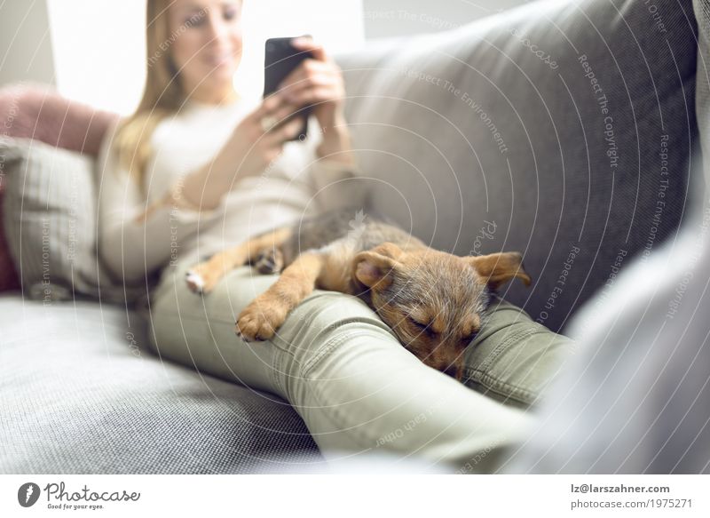 Puppy sleeping on owner laps Relaxation Calm Reading Sofa Living room PDA Woman Adults Animal Pet Dog Smiling Sleep Safety (feeling of) closeness Copy Space