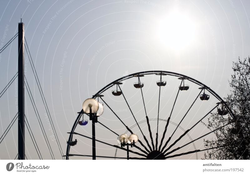 Bridge, lamps, Ferris wheel and tree Fairs & Carnivals Nature Air Sky Cloudless sky Sun Sunlight Summer Beautiful weather Tree Duesseldorf Old town Skyline