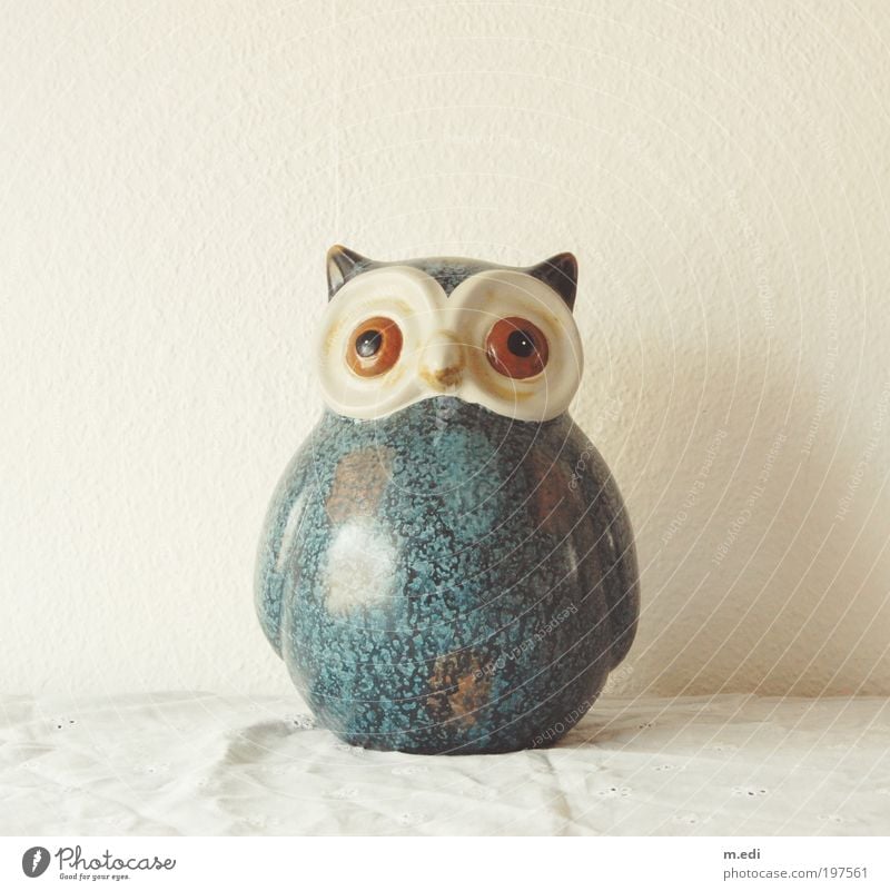 the UHU Bird Owl birds Kitsch Odds and ends Collector's item Knick-knack Decoration Stand Colour photo Day Central perspective