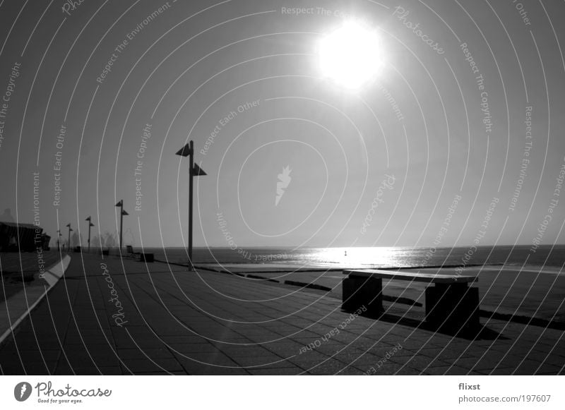 stranded light Water Cloudless sky Horizon Beautiful weather Beach North Sea Calm Loneliness Far-off places Deserted Black & white photo Exterior shot