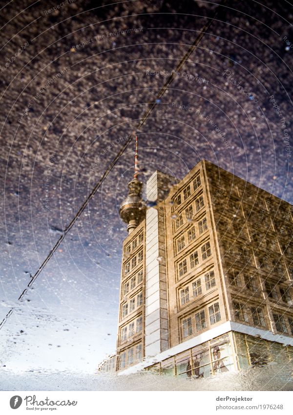 TV tower in Berlin in a puddle reflection III Pattern Abstract Urbanization Capital city Copy Space right Copy Space left Cool (slang) Copy Space middle