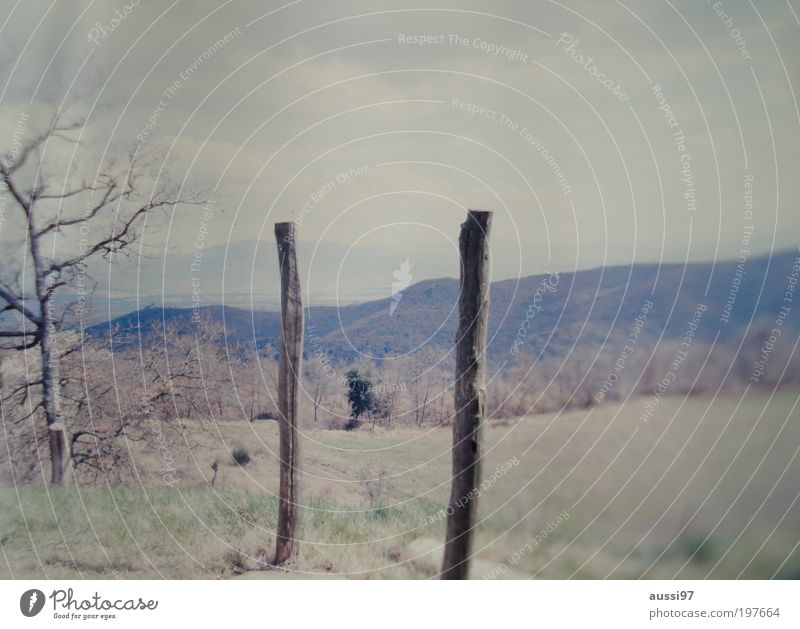 Where do you go to, my lovely? Tuscany Pole Wooden stake Italy Blur positive liquid Landscape