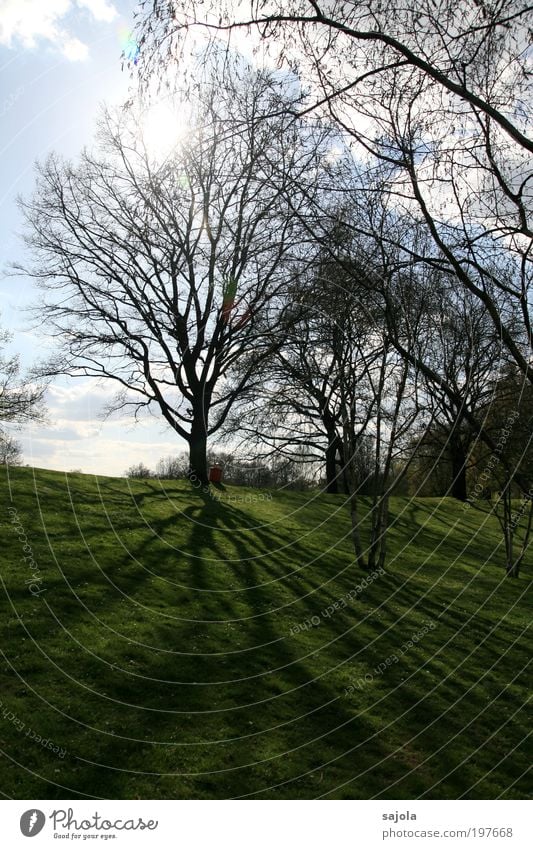 tree-lined [LUsertreffen 04|10] Environment Nature Sky Beautiful weather Tree Grass Park Esthetic Green Spring Spring day Shadow Colour photo Exterior shot Day