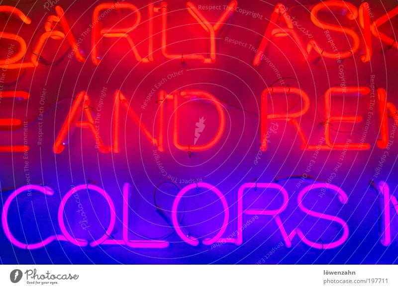 and.colors Lamp Bright Hip & trendy Uniqueness Cold Beautiful Warmth Violet Red Creativity Neon light Fluorescent Lights Installations Colour photo