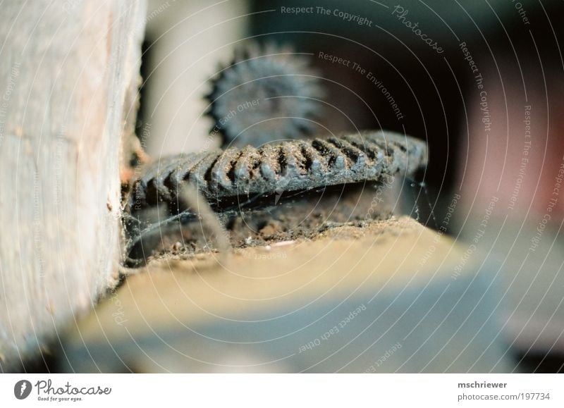 Old gear Machinery Gear unit Gearwheel Dirty Historic Decline Past Transience Time Colour photo Interior shot Shallow depth of field