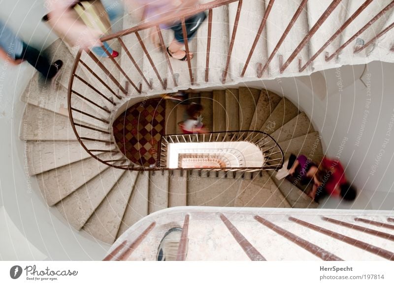 the only way is up Human being Masculine Group House (Residential Structure) Building Architecture Stairs Running Above Multicoloured White Endurance