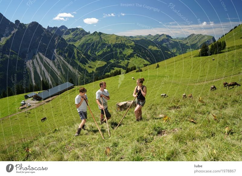 pastoralists Environment Nature Landscape Summer Beautiful weather Rock Alps Mountain Peak Communicate Forest of Bregenz Vorarlberg Alpine pasture Agriculture