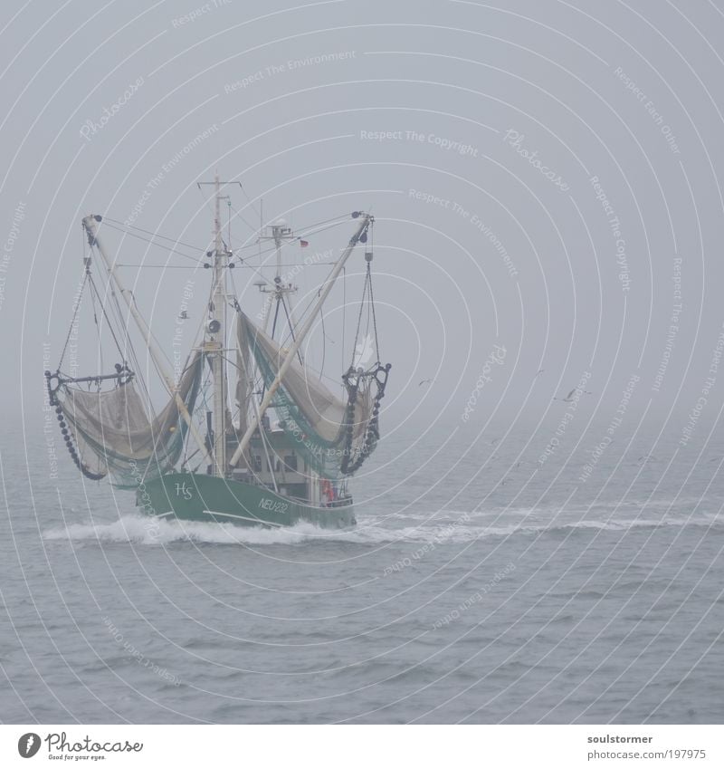 That's a boat! Water Bad weather Fog Waves North Sea Navigation Boating trip Fishing boat Bird Seagull Work and employment Driving Moody Sadness Loneliness