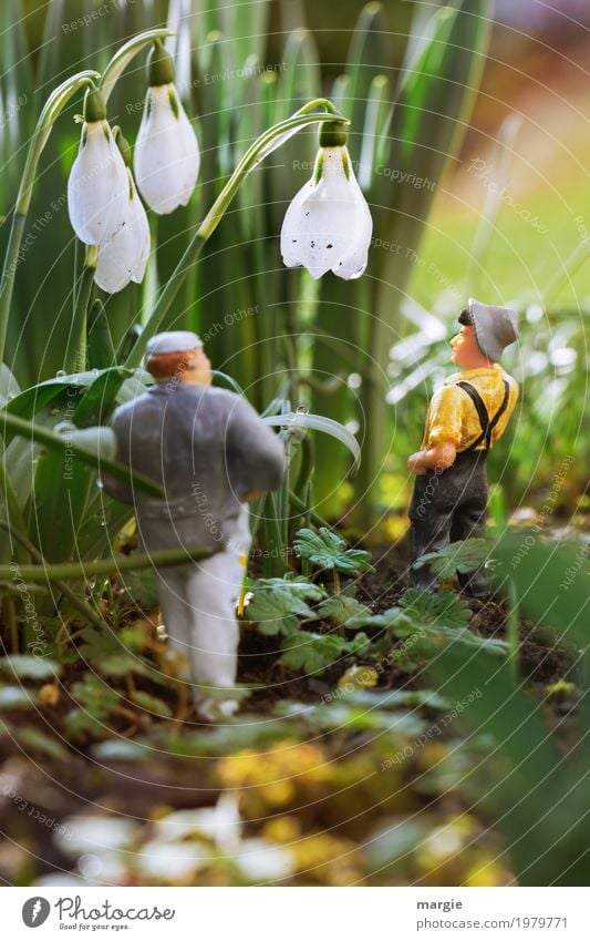 Miniwelten - Are these snowdrops? Gardening To talk Human being Masculine Man Adults 2 Environment Spring Beautiful weather Plant Flower Grass Bushes Leaf