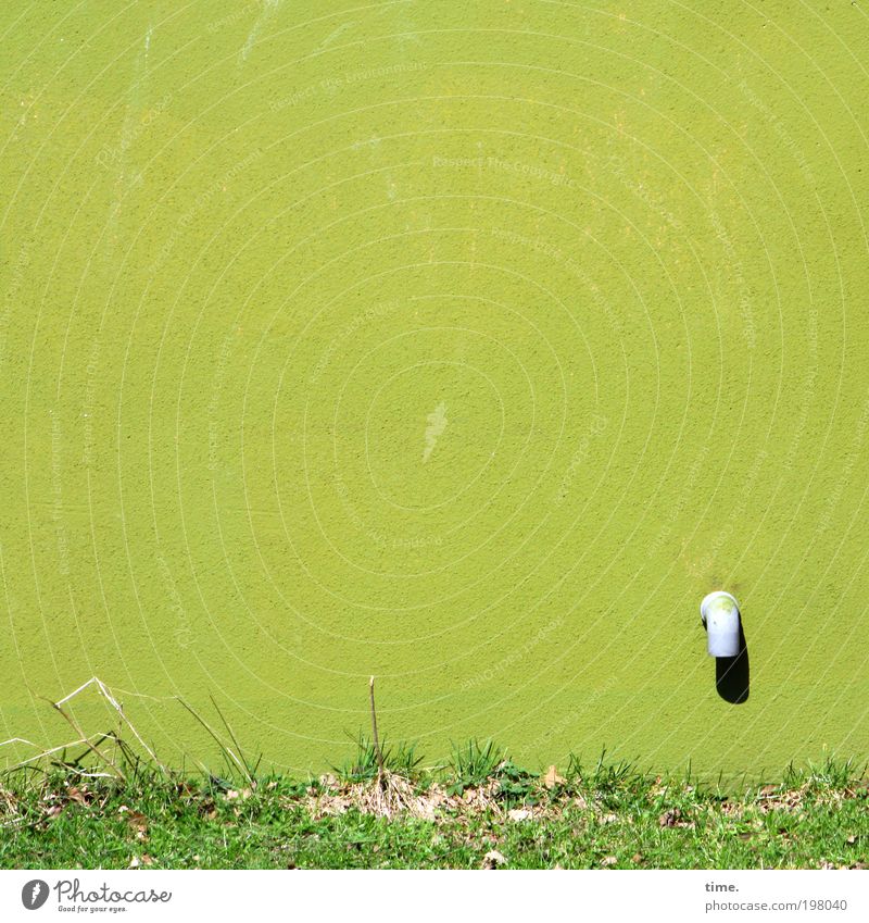 obsolescent model Sun House (Residential Structure) Water Spring Grass Meadow Concrete Plastic Growth Green Colour lime green Wall (building) Drainage Pipe Bend