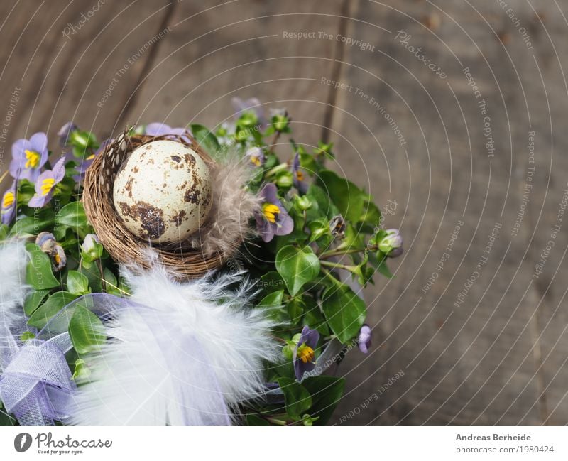 Easter nest Design Event Nature Pink celebration decoration decorative festive flower happy holiday home house light meadow natural Nest rustic season