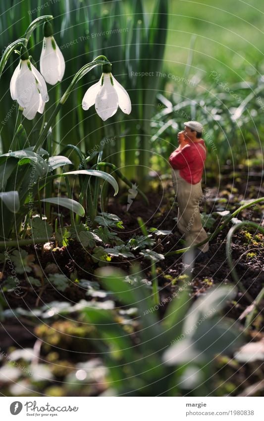 Miniwelten - I don't hear anything! Work and employment Gardening Workplace Human being Masculine Man Adults 1 Nature Plant Beautiful weather Flower Grass