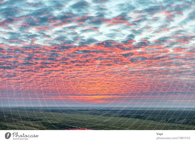 Sunset on the field with red clouds Beautiful Vacation & Travel Summer Environment Nature Landscape Plant Sky Clouds Horizon Sunrise Sunlight Weather Grass